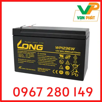 ẮC QUY KÍN KHÍ (VRLA AGM) LONG 12V-36WPC-1.6VPC-15Min, WP1236W, F2